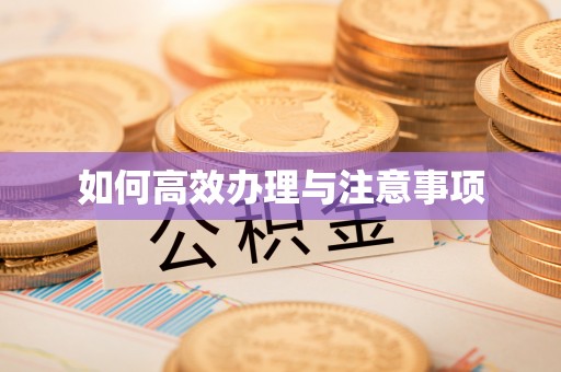 柳营如何高效办理与注意事项