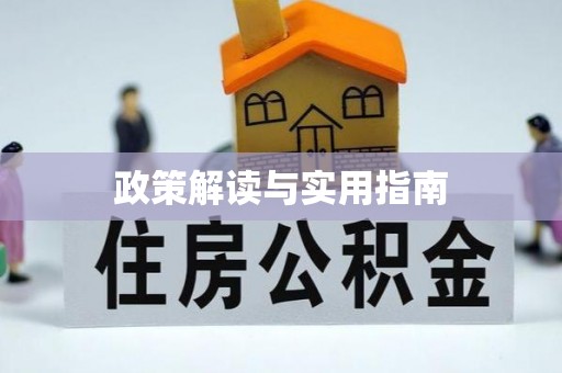 柳营政策解读与实用指南