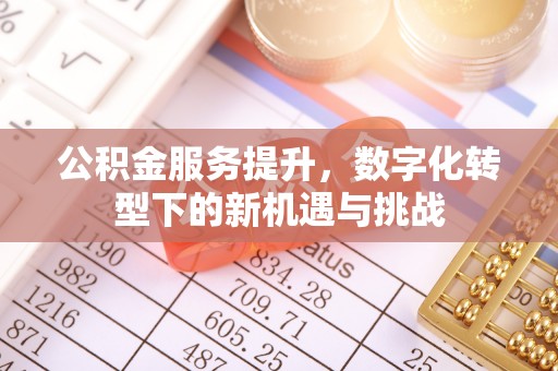柳营公积金服务提升，数字化转型下的新机遇与挑战