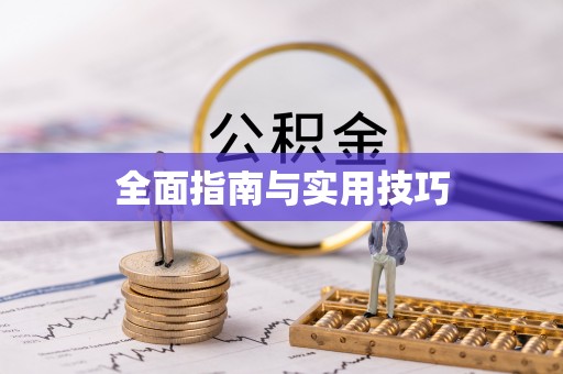 柳营全面指南与实用技巧