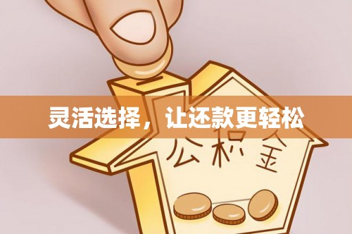 柳营灵活选择，让还款更轻松