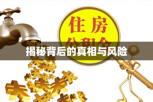 柳营揭秘背后的真相与风险
