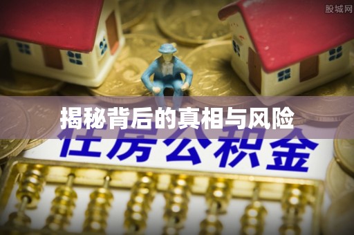 柳营揭秘背后的真相与风险
