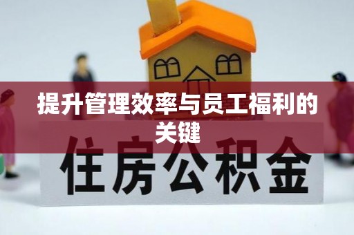 柳营提升管理效率与员工福利的关键