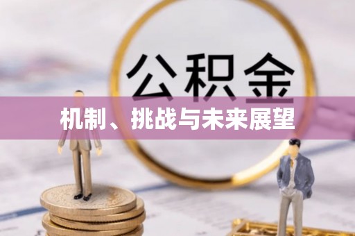 柳营机制、挑战与未来展望