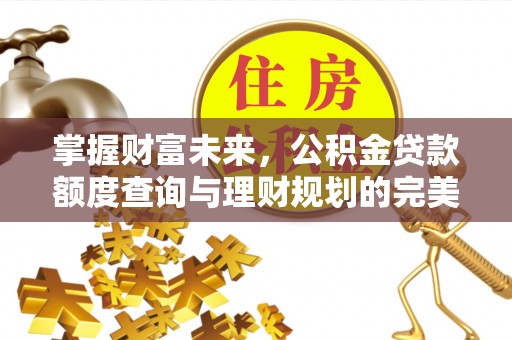 柳营掌握财富未来，公积金贷款额度查询与理财规划的完美结合